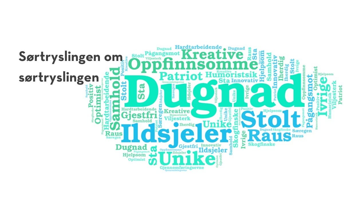 Søre Trysil Village Committee, image size:1240x706