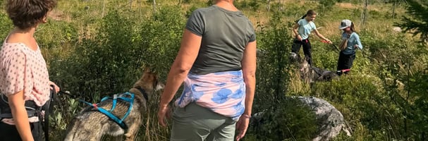 To damer og to barn på tur med huskyer om sommeren