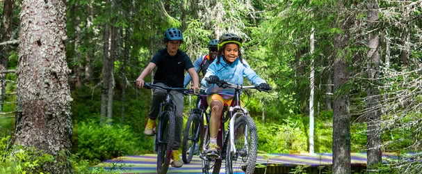 Familie sykler på trebru i skogen