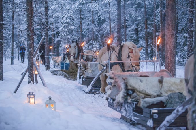 Kanefart med fakler om kvelden i vinterlandskap