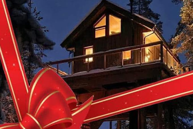 Tretopphytte om kvelden