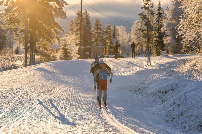 People go cross-country skiing in sunny weather